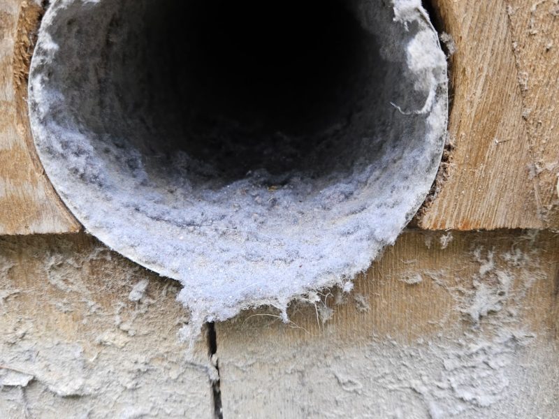 Before_ dirty dryer vent