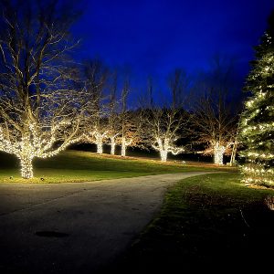 holiday-lighting-3-cb